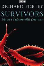 Watch Survivors: Nature's Indestructible Creatures Zumvo