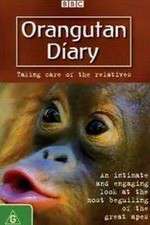 Watch Orangutan Diary Zumvo