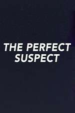 Watch The Perfect Suspect Zumvo