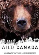 Watch Wild Canada Zumvo