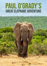 Watch Paul O'Grady's Great Elephant Adventure Zumvo