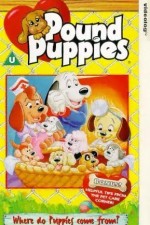 Watch Pound Puppies Zumvo