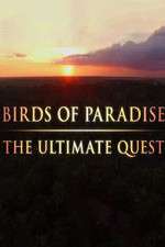 Watch Birds of Paradise: The Ultimate Quest Zumvo