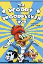 Watch The Woody Woodpecker Show Zumvo