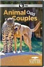 Watch Animal Odd Couples Zumvo