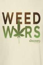 Watch Weed Wars Zumvo