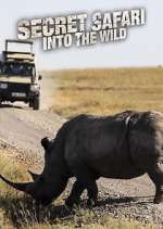 Watch Secret Safari: Into the Wild Zumvo