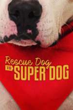 Watch Rescue Dog to Super Dog (US) Zumvo