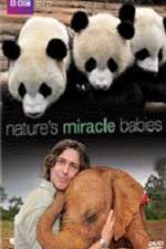 Watch Natures Miracle Babies Zumvo