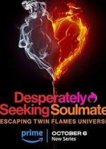 Watch Desperately Seeking Soulmate: Escaping Twin Flames Universe Zumvo