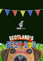 Watch Scotland's Best Dog Zumvo