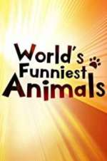 Watch The World\'s Funniest Animals Zumvo