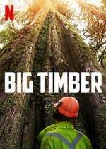 Watch Big Timber Zumvo