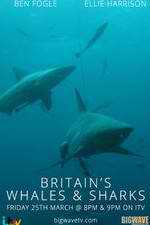 Watch Britain's Whales and Sharks Zumvo