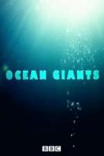 Watch Ocean Giants Zumvo