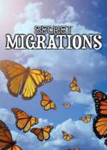 Watch Secret Migrations Zumvo
