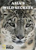 Watch Asia's Wild Secrets Zumvo