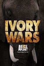 Watch Ivory Wars Zumvo