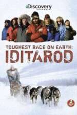 Watch Iditarod Zumvo