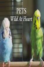 Watch Pets - Wild at Heart Zumvo