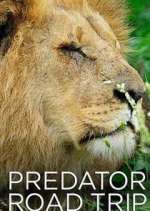 Watch Predator Road Trip Zumvo