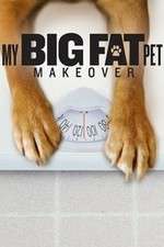 Watch My Big Fat Pet Makeover Zumvo