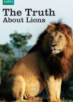 Watch The Truth About Lions Zumvo