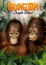 Watch Orangutan Jungle School Zumvo