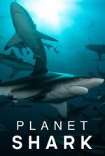 Watch Planet Shark Zumvo