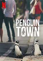 Watch Penguin Town Zumvo