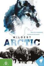 Watch Wildest Arctic Zumvo