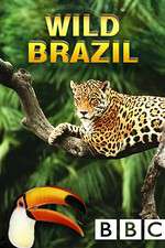 Watch Wild Brazil Zumvo