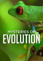 Watch Mysteries of Evolution Zumvo