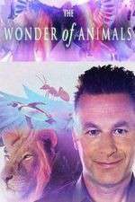 Watch The Wonder of Animals Zumvo