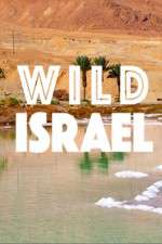 Watch Wild Israel Zumvo