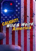 Watch Wild & Weird America Zumvo