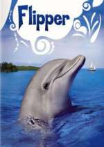 Watch Flipper Zumvo