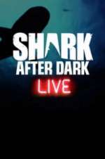 Watch Shark After Dark Zumvo