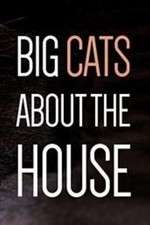 Watch Big Cats About the House Zumvo