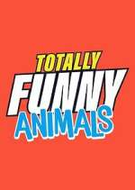Watch Totally Funny Animals Zumvo