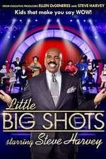 Watch Little Big Shots Zumvo