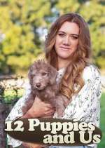 Watch 12 Puppies and Us Zumvo