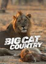 Watch Big Cat Country Zumvo