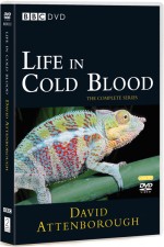 Watch Life in Cold Blood Zumvo