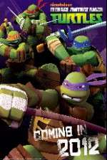 Watch Teenage Mutant Ninja Turtles Zumvo