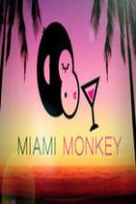 Watch Miami Monkey Zumvo