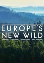 Watch Europe's New Wild Zumvo