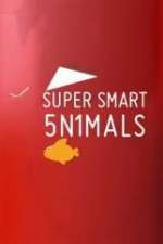 Watch Super Smart Animals Zumvo