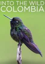 Watch Into the Wild Colombia Zumvo