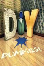 Watch DIY Dummies Zumvo